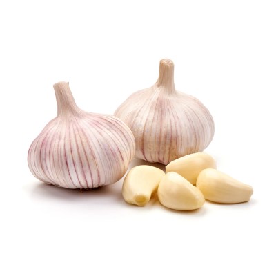 Чеснок крупный 1 кг - купить в Васильеве