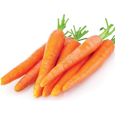 Морковь молодая 1 кг - купить в Васильеве